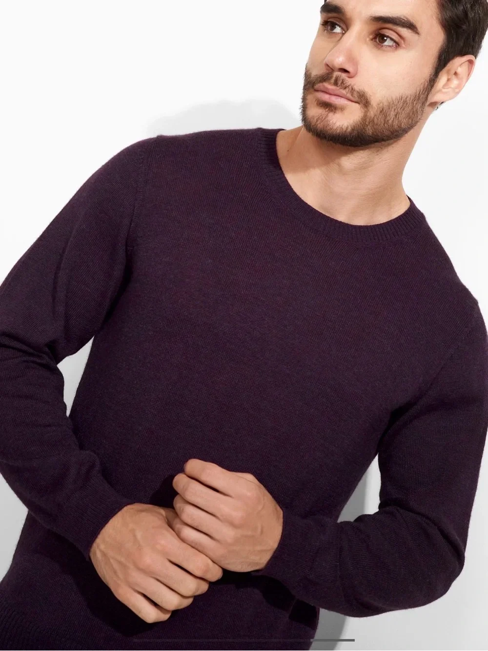 J. Crew Men's Crewneck Sweater in Plum